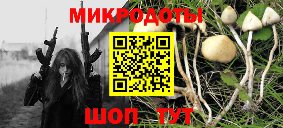 Псилоцибиновые грибы мицелий Нефтекамск